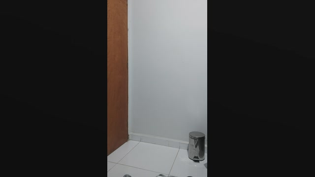 Petreli  20-02-2023
